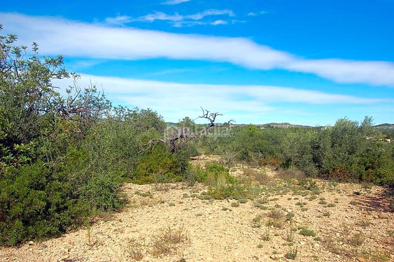 Foto d200418c-6ed4-4e4e-848a-685ac289baf0. Landgut in Ampolla (L´)