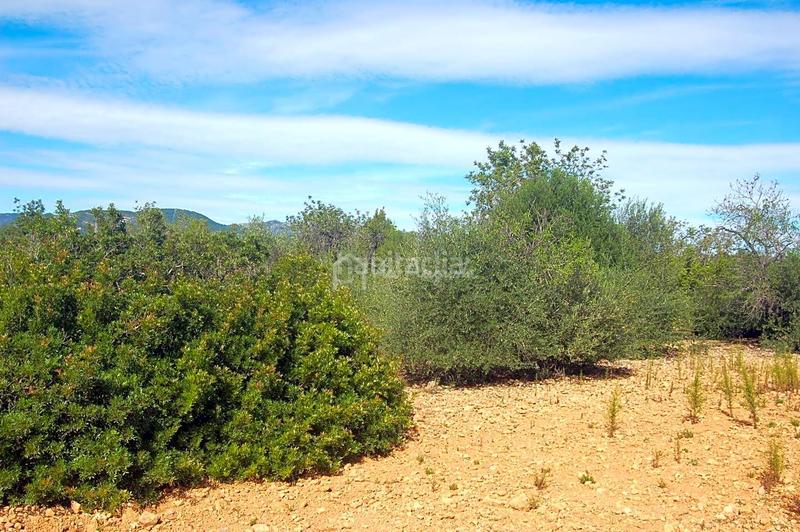 Foto df9fb32c-a8ae-416e-b15d-95bdab5a3650. Landgut in Ampolla (L´)