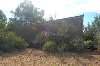 Finca rústica  Partida la bassa fornos