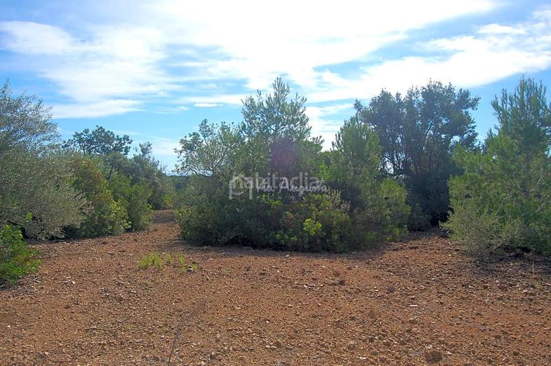 Foto e381ae80-6cb8-4438-80e4-938fd96bd3bb. Finca rústica a Ampolla (L´)