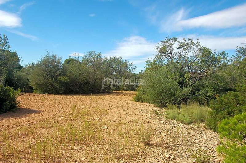 Foto 1124d8c6-1b8a-4f56-88f9-a25b1b737f06. Finca rústica en Ampolla (L´)
