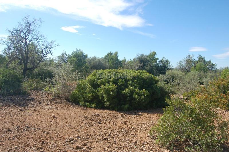 Foto 27e0ecfa-ab75-4a14-b43d-0be4fa209901. Finca rústica en Ampolla (L´)