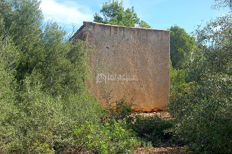 Foto 95afeeab-edd0-4967-b9e5-bec0598e6fa6. Finca rústica en Ampolla (L´)