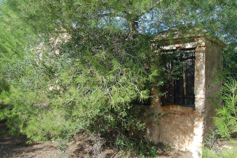 Foto c2a295a9-82d9-4e2d-a2b9-e41bc9d7ec1f. Finca rústica en Ampolla (L´)