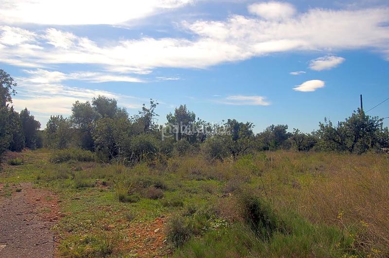 Foto dea8c17a-99b4-49bc-9c27-13fd15292b4a. Finca rústica en Ampolla (L´)