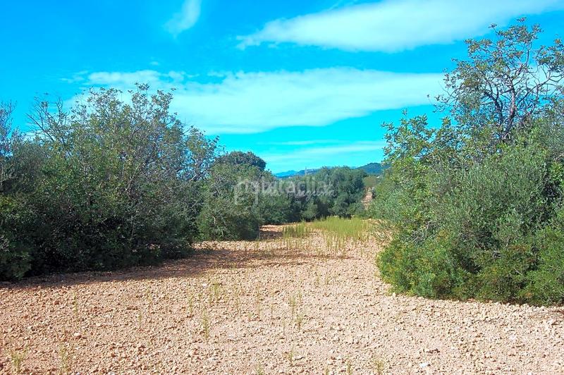 Foto ea625926-1d73-4369-90c3-db58ea3eae7a. Finca rústica en Ampolla (L´)