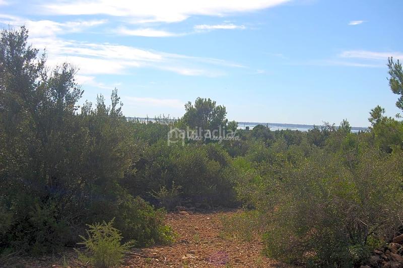 Foto f333caa8-1609-465f-842a-4c6a8a968c5f. Finca rústica en Ampolla (L´)