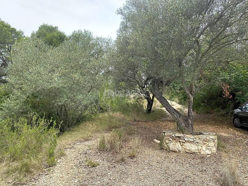 Foto f2eec374-8b86-4be4-a883-08f824f27d07. Finca rústica a L´Ametlla de Mar Ametlla de Mar (L´)