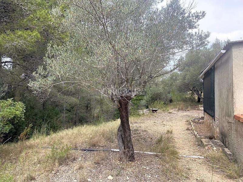 Foto fbd8c666-1c2e-43c8-9506-78a2636377a9. Finca rústica a L´Ametlla de Mar Ametlla de Mar (L´)
