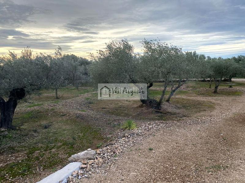 Foto 6a7e857e-7960-482e-9862-ddfb9f2b023b. Finca rústica a Urbanitzacions Tortosa