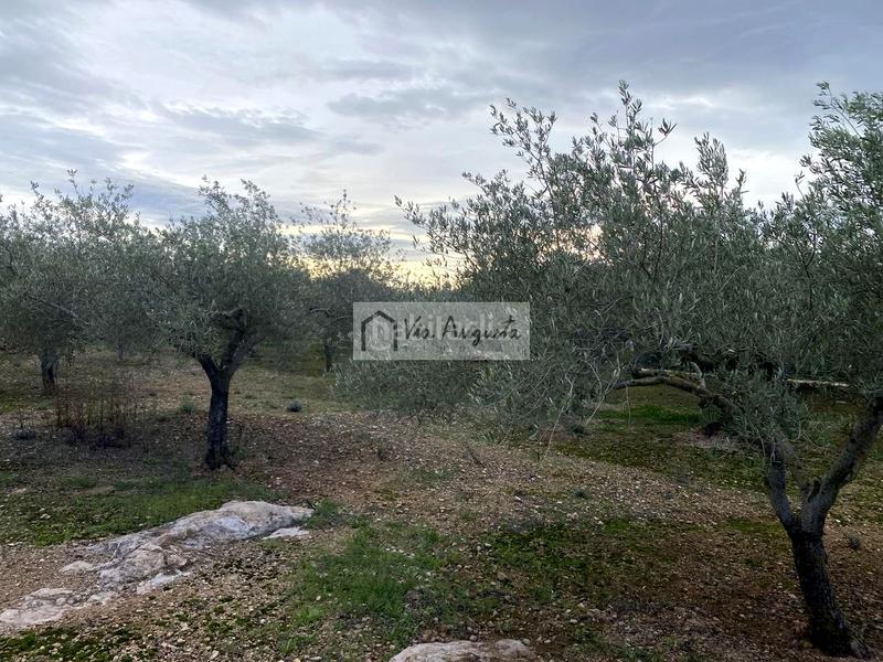 Foto 071ac5b0-9d1d-4dfc-ab4a-90b72ae93513. Finca rústica en Urbanitzacions Tortosa