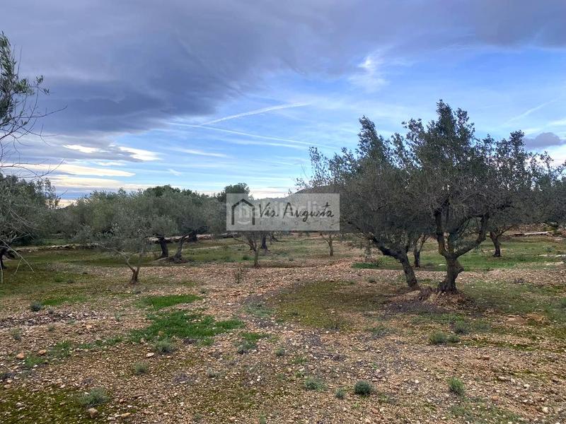 Foto 1c9469a0-9da0-40f3-bd82-cb1f20263b93. Finca rústica en Urbanitzacions Tortosa