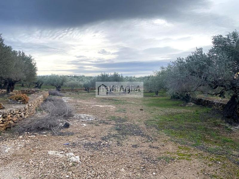 Foto a0945779-3854-4d06-a874-1df8b5d02648. Finca rústica en Urbanitzacions Tortosa