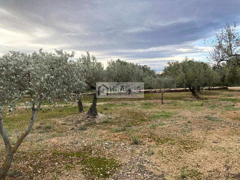 Foto a9da1dd9-24c6-4345-8f07-0de1c5bf6136. Finca rústica en Urbanitzacions Tortosa