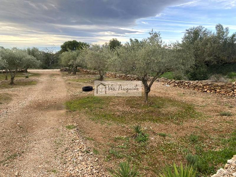 Foto bfb7c9bd-2ceb-49f3-a980-5e9b9f0c7832. Finca rústica en Urbanitzacions Tortosa