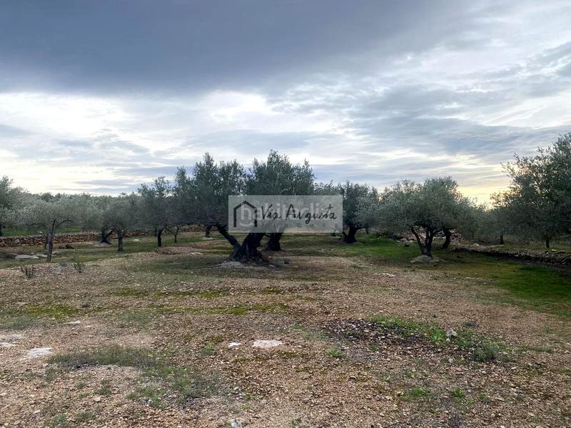 Foto dc0cc625-170b-49a9-9582-1f989c233a22. Finca rústica en Urbanitzacions Tortosa