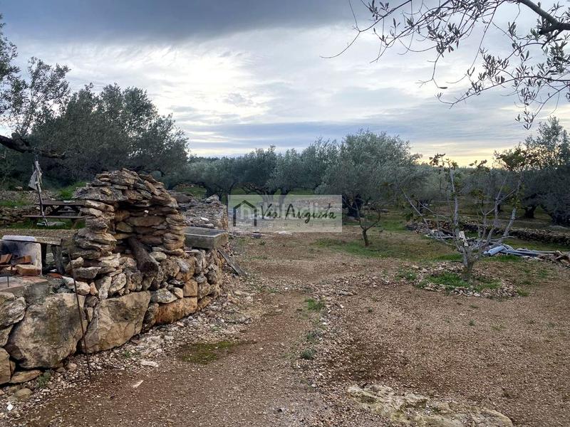 Foto de13f343-2919-446e-94b3-5dcd3ce47ce5. Finca rústica en Urbanitzacions Tortosa