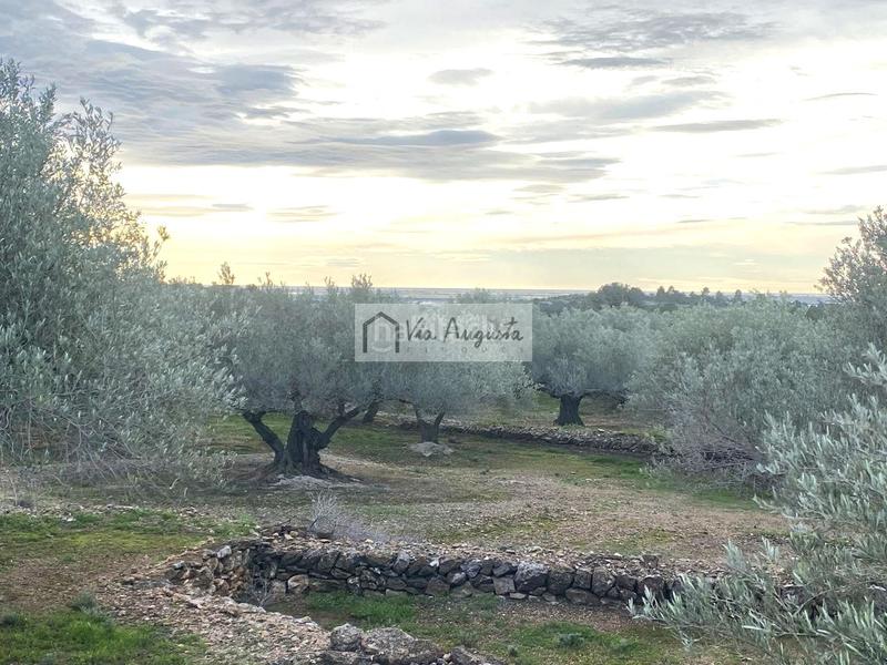 Foto e409de76-92a5-49df-952f-0a58c9dfacc0. Finca rústica en Urbanitzacions Tortosa