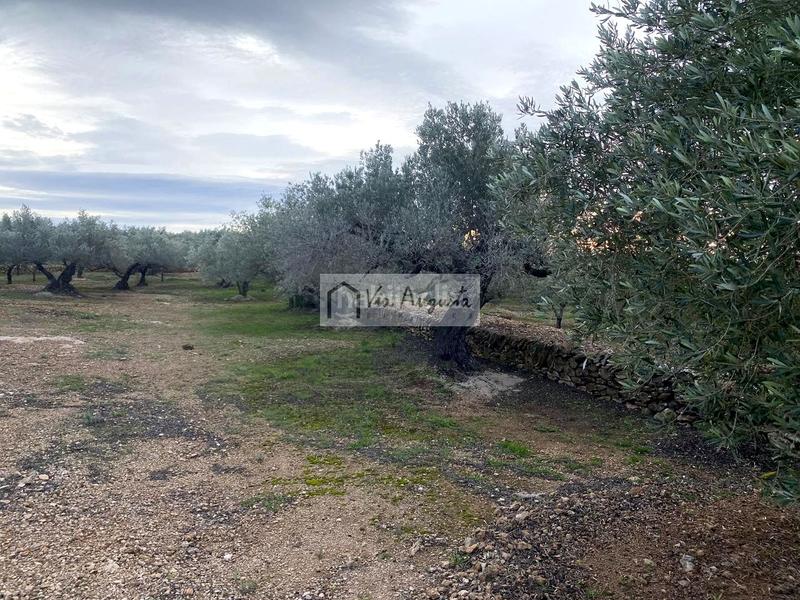 Foto eb8045db-d968-4e2f-bfc1-a4fd840bdb30. Finca rústica en Urbanitzacions Tortosa
