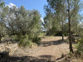 Rural plot  Ligallo de les bordes