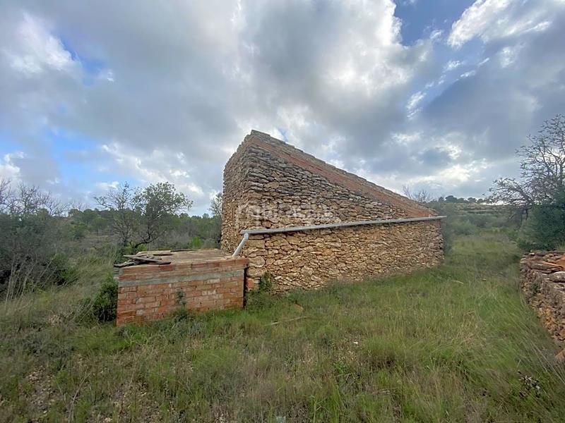 Foto 1bbf3ea4-9bf6-4bda-abc0-f05bf95c9fbc. Rural plot in Perelló (El)