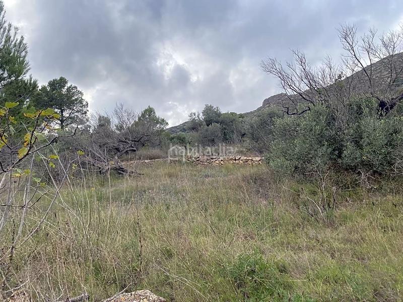 Foto 90363c02-0d88-41f5-8473-1c786e3692ac. Rural plot in Perelló (El)