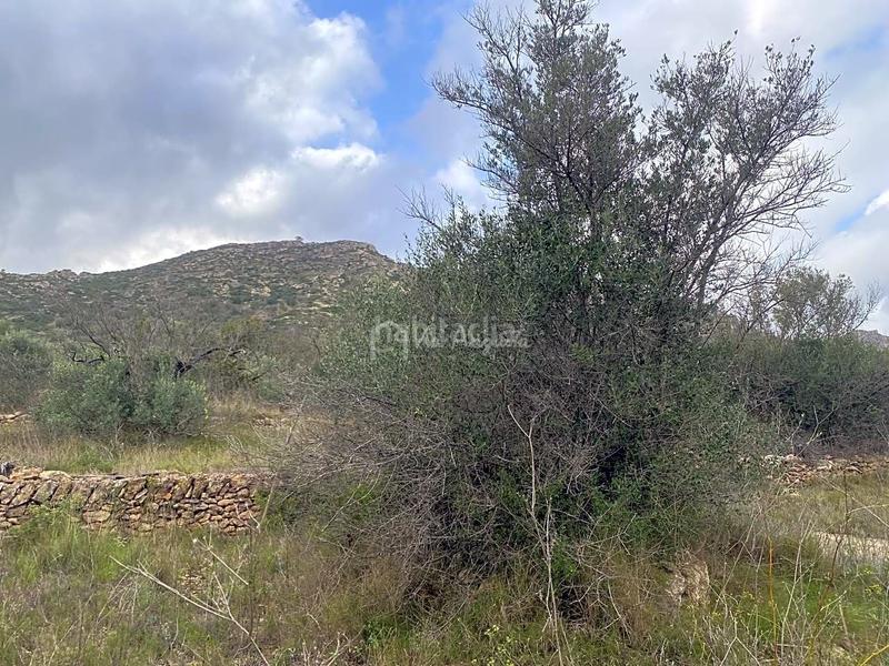 Foto 003fa1ab-4600-4791-b455-e824077308ac. Finca rústica a Perelló (El)