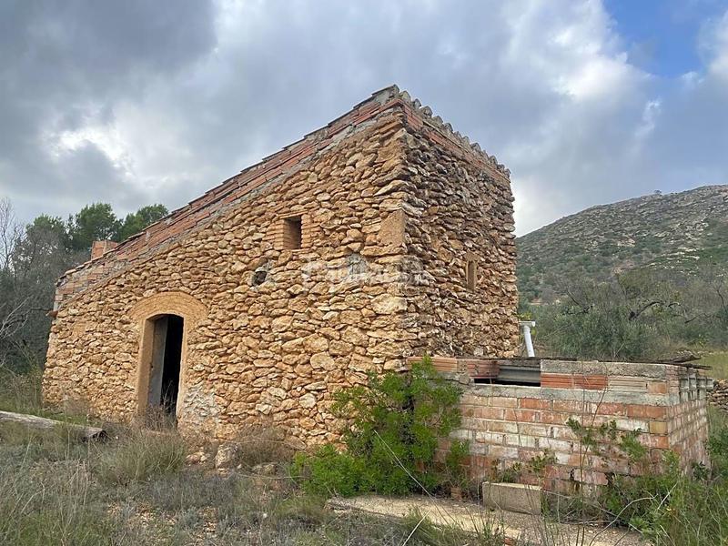 Foto 319c04ad-8b78-46d7-bf4d-24e816b1d9c6. Finca rústica a Perelló (El)