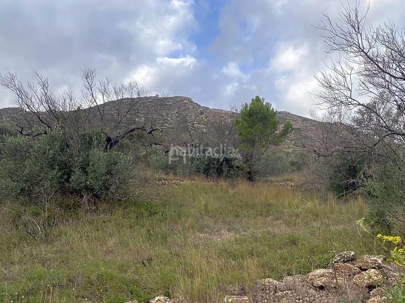 Foto ec79fcf2-9a3f-46ff-8968-7a14a7bd5532. Finca rústica a Perelló (El)