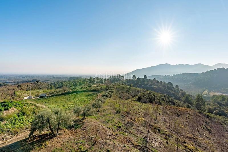 Foto 11e19d6b-9fa5-41fd-9c81-de3fc072619a. Mas avec chauffage parking dans Borges del Camp (Les)