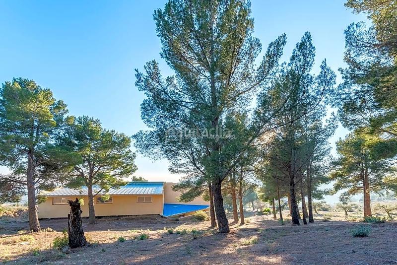 Foto 7dcb7d3d-ff0b-46ce-af8c-cf8592cbc0f9. Mas avec chauffage parking dans Borges del Camp (Les)