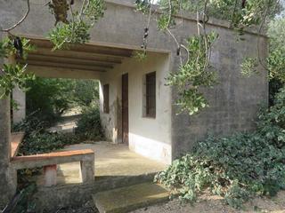 Finca rústica  Partida aguila