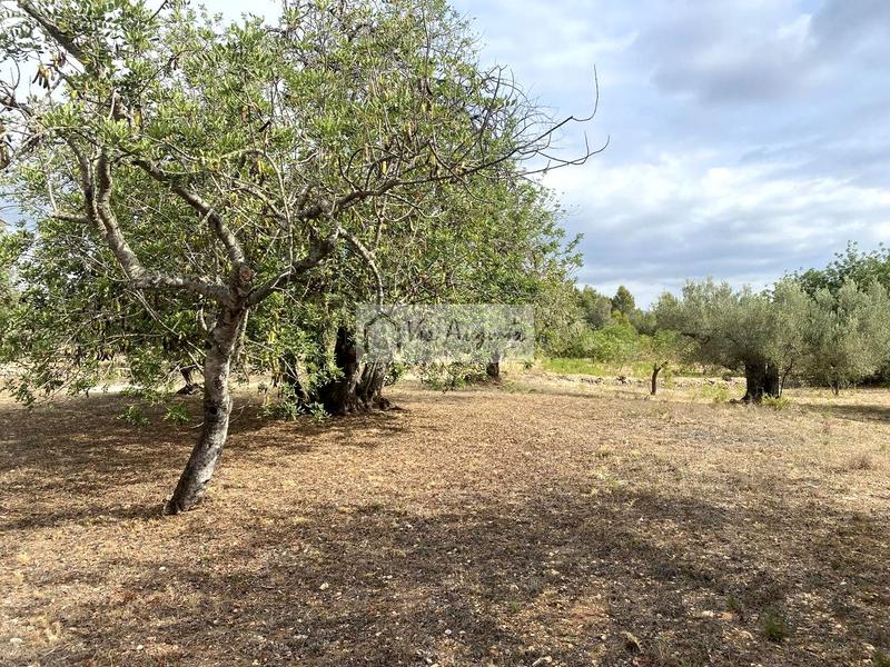 Foto ae85f441-b85e-46c6-835d-59dfdb42e67e. Finca rústica a L´Ametlla de Mar Ametlla de Mar (L´)