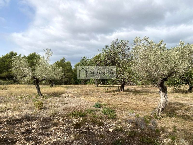 Foto 45709c4d-3a9f-44de-9ec1-383767db30c6. Finca rústica en L´Ametlla de Mar Ametlla de Mar (L´)
