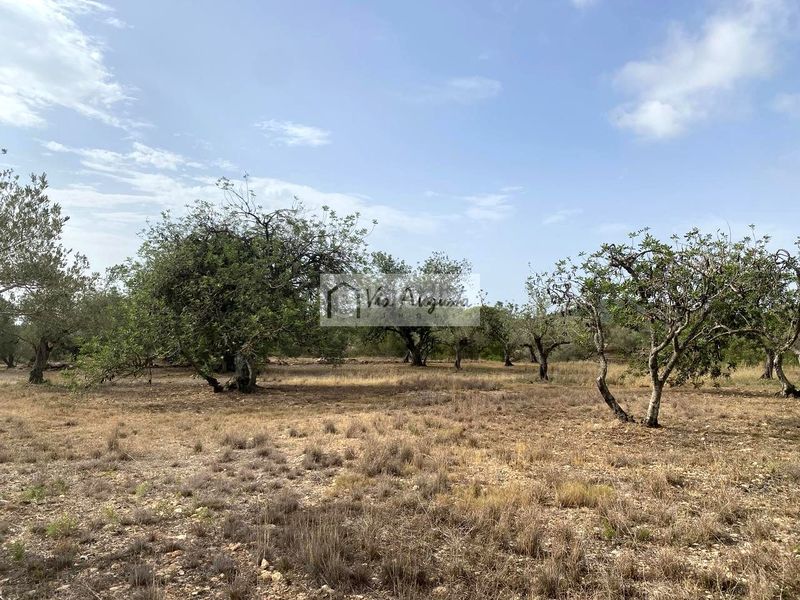 Foto 63d4db0e-7087-4c56-965b-20de665daced. Finca rústica en L´Ametlla de Mar Ametlla de Mar (L´)