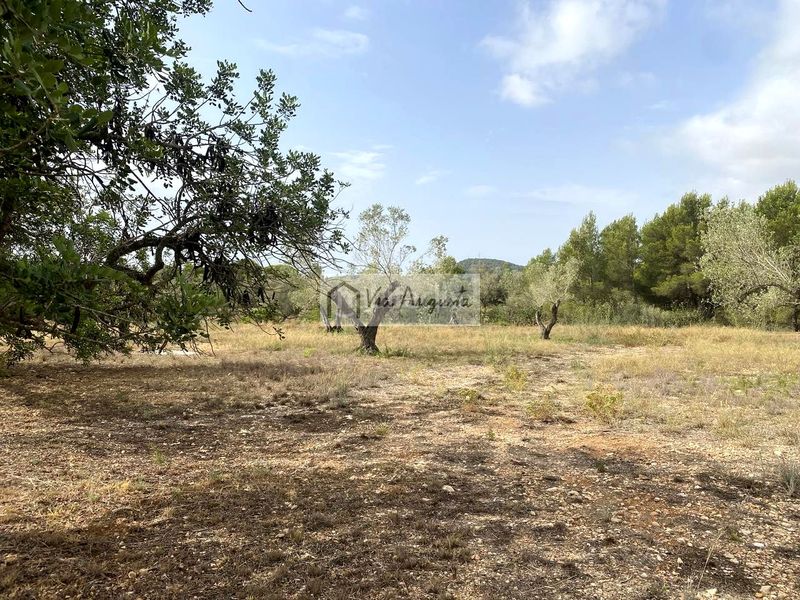 Foto 730e9dc6-edda-496f-9529-ece58c8c2a1d. Finca rústica en L´Ametlla de Mar Ametlla de Mar (L´)