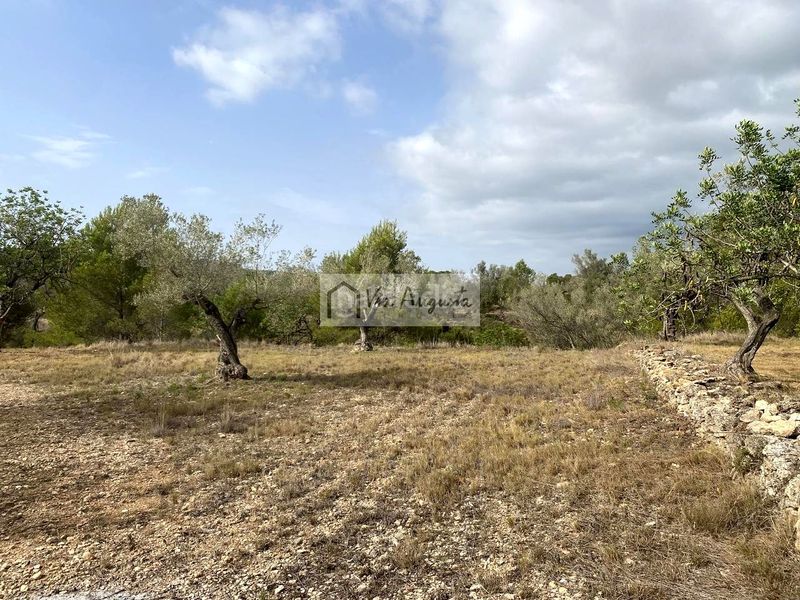 Foto 9d8680fe-701d-44e2-b130-d8696a752c62. Finca rústica en L´Ametlla de Mar Ametlla de Mar (L´)