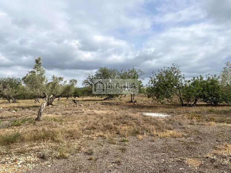 Foto e2a95d65-7195-4420-ba45-0a47b03c0f8c. Finca rústica en L´Ametlla de Mar Ametlla de Mar (L´)