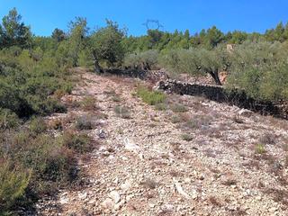 Terreny residencial  Partida oliveres