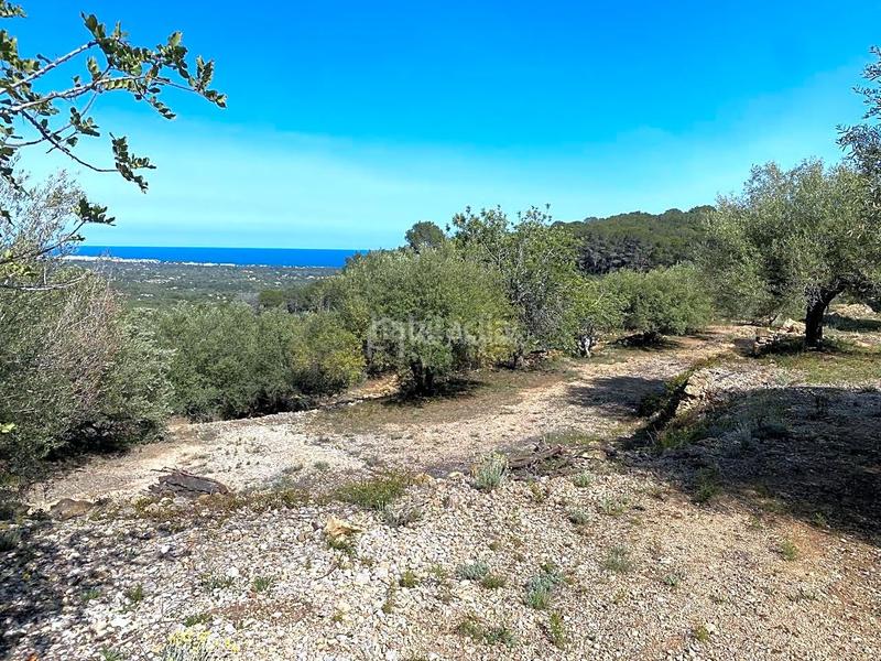 Foto 0d9365b9-12b5-4453-a6db-8eea732c73de. Rural plot in Roques Daurades-L´Estany Ametlla de Mar (L´)