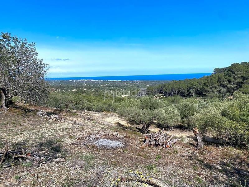 Foto 3b2c9e8b-c7a4-4344-a624-ff4a7736a5ad. Rural plot in Roques Daurades-L´Estany Ametlla de Mar (L´)