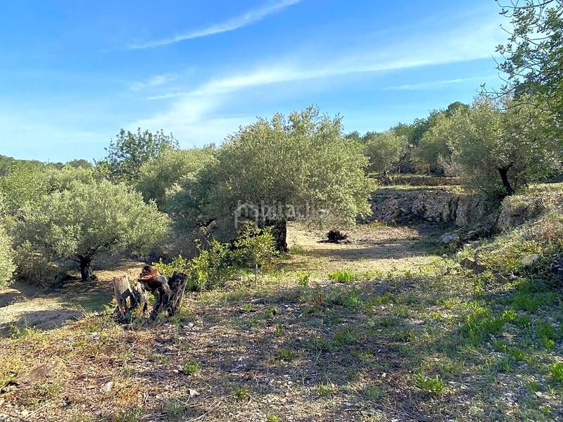 Foto 4d94994f-e122-407d-84a6-571fab057e8e. Rural plot in Roques Daurades-L´Estany Ametlla de Mar (L´)