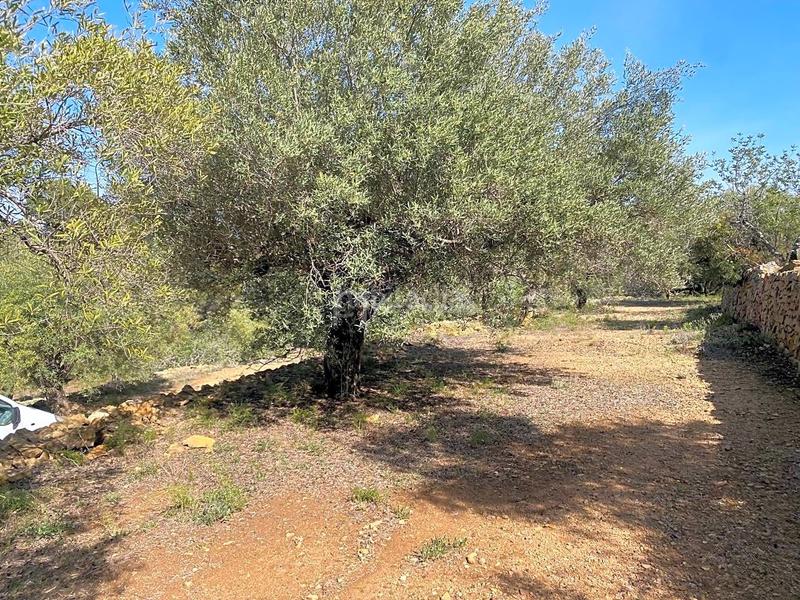Foto 50c7fe60-00e4-4862-b372-c5feff3b3667. Rural plot in Roques Daurades-L´Estany Ametlla de Mar (L´)