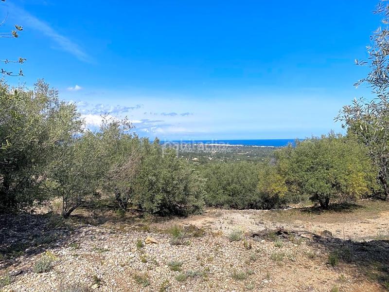 Foto 904fc25b-96ce-47d3-940b-9eb3e66854b4. Rural plot in Roques Daurades-L´Estany Ametlla de Mar (L´)
