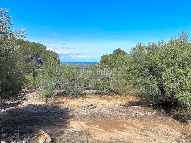 Foto ba34ef92-8dd9-4d8c-991c-b1e05c9ab7c2. Rural plot in Roques Daurades-L´Estany Ametlla de Mar (L´)