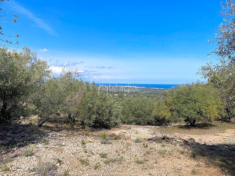 Foto be90b5fb-8d62-464a-823d-f99f8f8367a0. Rural plot in Roques Daurades-L´Estany Ametlla de Mar (L´)