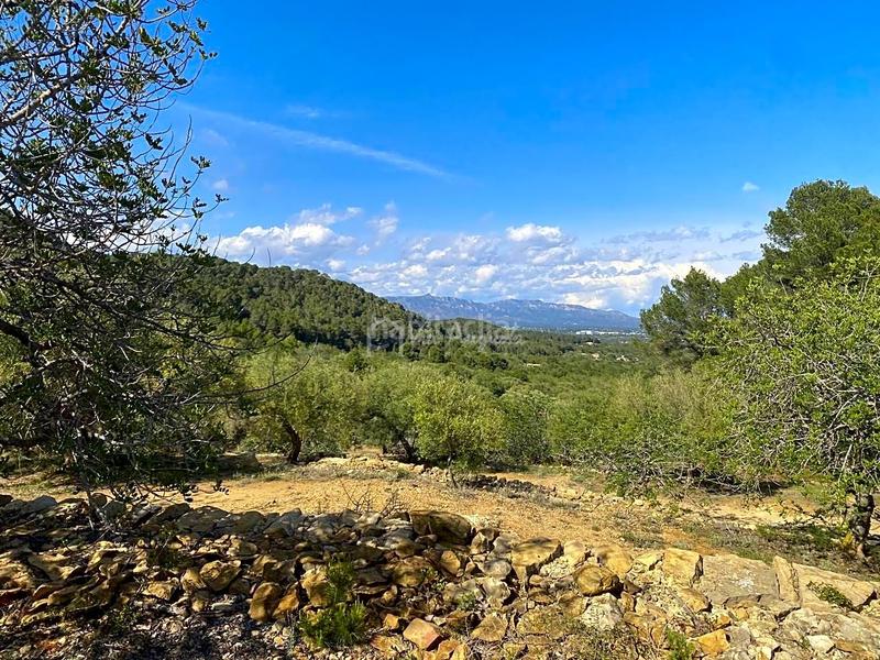 Foto de71fddc-6c56-481d-9be4-736a3437c85e. Rural plot in Roques Daurades-L´Estany Ametlla de Mar (L´)