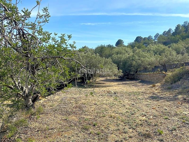 Foto e34217a9-84eb-4643-b04c-5a6cbe8c8a3b. Rural plot in Roques Daurades-L´Estany Ametlla de Mar (L´)