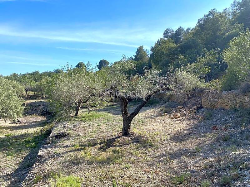 Foto 6db1975f-65f8-46ee-8c4a-874140661fba. Finca rústica a Roques Daurades-L´Estany Ametlla de Mar (L´)