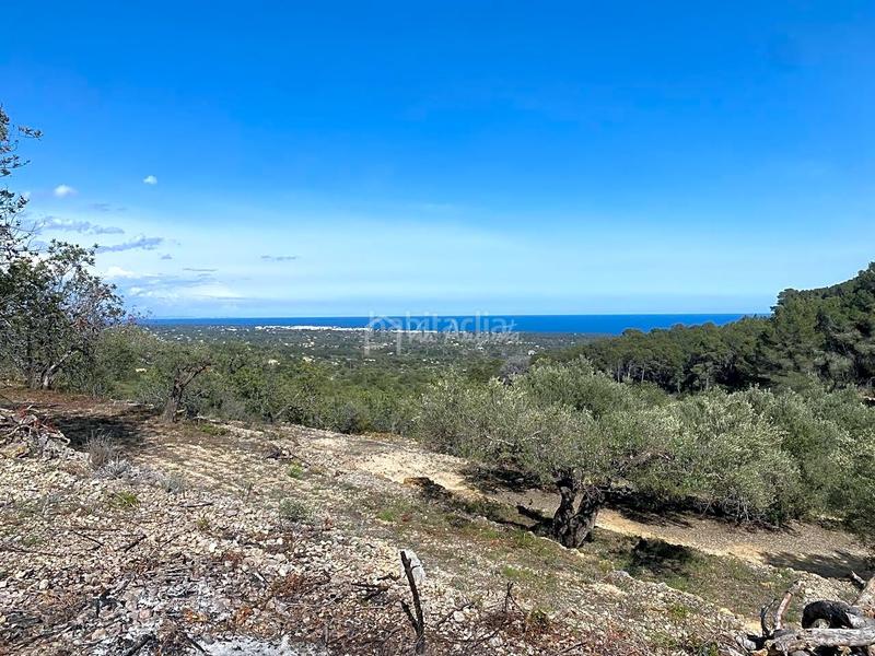 Foto 03666475-19fe-476d-ac60-4aa1973757fc. Finca rústica en Roques Daurades-L´Estany Ametlla de Mar (L´)